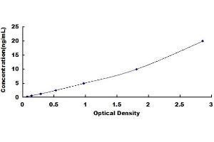Typical standard curve (HSD11B1 ELISA Kit)