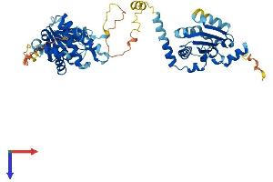 GDAP2 Protein (AA 1-497) (His tag)