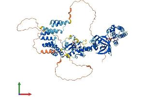 Protein Structure (PS) image for LON Peptidase N-terminal Domain and Ring Finger 3 (LONRF3) (AA 1-753) protein (His tag) (ABIN7560991)