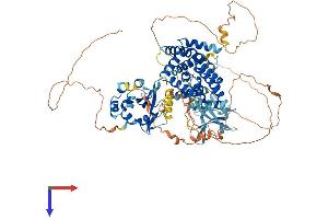 RIN1 Protein (AA 1-783) (His tag)