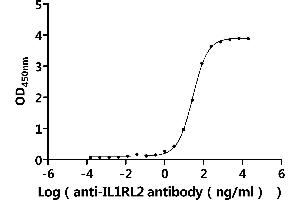 Measured by its binding ability in a functional ELISA.