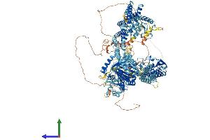 Protein Structure (PS) image for Lysine (K)-Specific Demethylase 5D (KDM5D) (AA 1-1539) protein (His tag) (ABIN7554272)