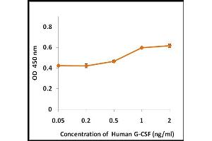 Activity Assay (AcA) image for Colony Stimulating Factor 3 (Granulocyte) (CSF3) (Active) protein (ABIN5509310)