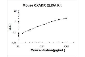 Coxsackie Virus and Adenovirus Receptor (CXADR) ELISA Kit