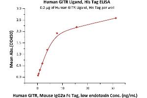 Immobilized Human GITR Ligand, His Tag (ABIN6810043,ABIN6938904) at 2 μg/mL (100 μL/well) can bind Human GITR, Mouse IgG2a Fc Tag, low endotoxin (ABIN5954930,ABIN6253588) with a linear range of 0.