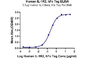 Immobilized Human IL-1 Beta, His Tag at 5 μg/mL (100 μL/Well) on the plate. (IL1R2 Protein (AA 14-343) (Fc Tag))