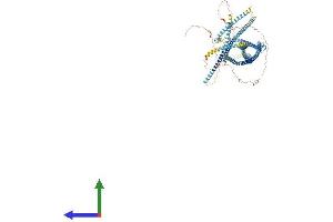 Protein Structure (PS) image for Ring Finger Protein 40, E3 Ubiquitin Protein Ligase (RNF40) (AA 1-1001) protein (His tag) (ABIN7552680)