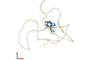 Protein Structure (PS) image for RNA Binding Motif Protein 9 (RBM9) (AA 1-390) protein (His tag) (ABIN7551376)