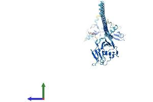AlphaFold protein structure predicition of Mouse Recombinant Trim50 Protein, UniprotID Q810I2
