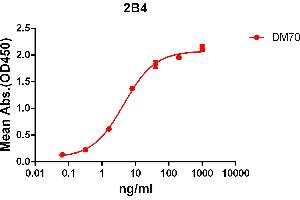 ELISA plate pre-coated by 2 μg/mL (100 μL/well) Human 2B4 protein, mFc-His tagged protein ((ABIN6961083, ABIN7042195 and ABIN7042196)) can bind Rabbit anti-2B4 monoclonal antibody(clone: DM70) in a linear range of 1-100 ng/mL.