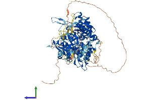 Protein Structure (PS) image for Molybdenum Cofactor Sulfurase (MOCOS) (AA 1-888) protein (His tag) (ABIN7554608)