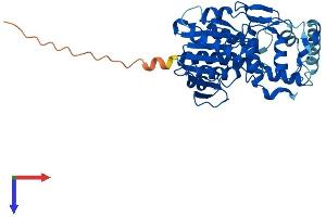 NSDHL Protein (AA 1-362) (His tag)