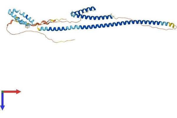 RILP Protein (AA 1-369) (His tag)