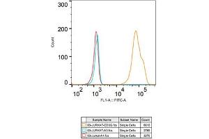 Flow cytometry: Jurkat cells were stained with Rabbit IgG isotype control (, 2. (CD3G Antikörper)