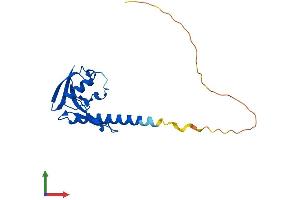 AlphaFold protein structure predicition of Human Recombinant CXorf65 Protein, UniprotID A6NEN9