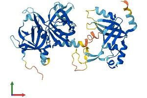 AlphaFold protein structure predicition of Mouse Recombinant Meiob Protein, UniprotID Q9D513