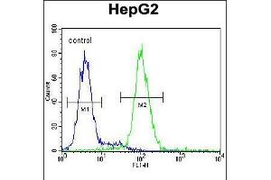 Flow cytometric analysis of HepG2 cells (right histogram) compared to a negative control cell (left histogram). (PSMD7 Antikörper  (C-Term))