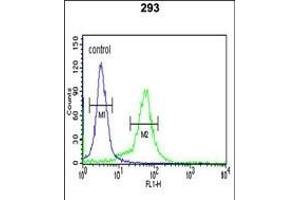 BTBD1 Antibody (Center) (ABIN391491 and ABIN2841458) flow cytometric analysis of 293 cells (right histogram) compared to a negative control cell (left histogram). (BTBD1 Antikörper  (AA 295-322))