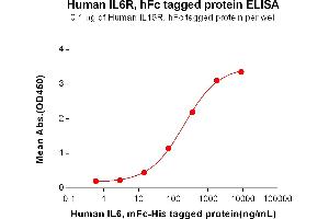 ELISA image for Interleukin 6 Receptor (IL6R) (AA 20-365) protein (Fc Tag) (ABIN7092702)