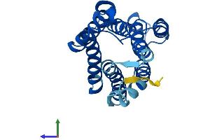 Protein Structure (PS) image for KDEL (Lys-Asp-Glu-Leu) Endoplasmic Reticulum Protein Retention Receptor 2 (KDELR2) (AA 1-212) protein (His tag) (ABIN7560559)