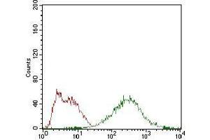 Flow Cytometry (FACS) image for anti-Eukaryotic Translation Initiation Factor 2A, 65kDa (EIF2A) (AA 448-576) antibody (ABIN1724939)