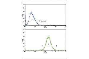 Flow Cytometry (FACS) image for anti-Sterol Carrier Protein 2 (SCP2) antibody (ABIN3003846) (SCP2 Antikörper)