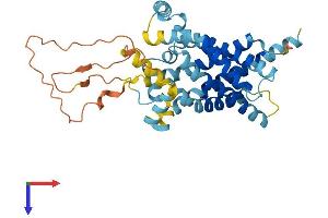 SLC25A39 Protein (AA 1-359) (His tag)