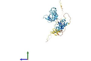 Protein Structure (PS) image for CD2 (Cytoplasmic Tail) Binding Protein 2 (CD2BP2) (AA 1-341) protein (His tag) (ABIN7553059)