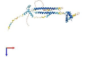 PBX4 Protein (AA 1-378) (His tag)