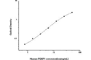 Typical standard curve (PDAP1 ELISA Kit)