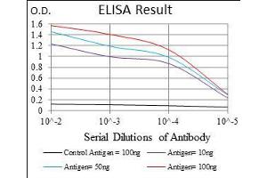 Black line: Control Antigen (100 ng), Purple line: Antigen(10 ng), Blue line: Antigen (50 ng), Red line: Antigen (100 ng), (ABCC4 Antikörper  (AA 631-692))