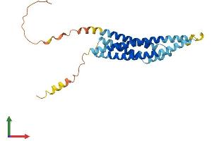 Protein Structure (PS) image for Membrane-Spanning 4-Domains, Subfamily A, Member 7 (MS4A7) (AA 1-240) protein (His tag) (ABIN7549542)