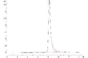 Size-exclusion chromatography-High Pressure Liquid Chromatography (SEC-HPLC) image for Tumor Necrosis Factor (Ligand) Superfamily, Member 8 (TNFSF8) (AA 63-234) protein (His tag) (ABIN7274138)