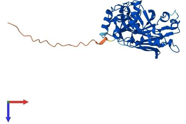 FAHD2A Protein (AA 1-313) (His tag)