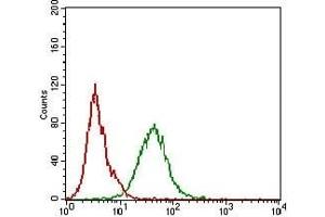 Flow cytometric analysis of A431 cells using CDH16 mouse mAb (green) and negative control (red).