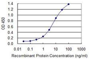 Detection limit for recombinant GST tagged SAV1 is 0. (SAV1 Antikörper  (AA 300-383))