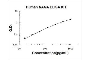 N-Acetylgalactosaminidase, alpha (NAGA) ELISA Kit