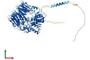 Protein Structure (PS) image for Dipeptidylpeptidase 10 (DPP10) (AA 1-797) protein (His tag) (ABIN7564063)
