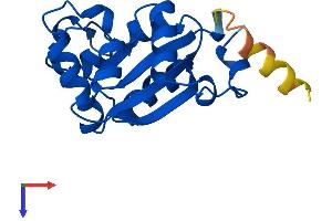 NME3 Protein (AA 1-169) (His tag)