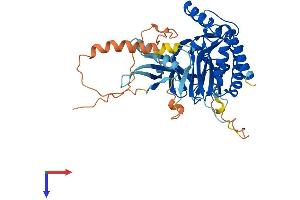 IP6K2 Protein (AA 1-426) (His tag)