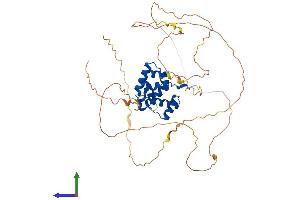 Protein Structure (PS) image for One Cut Homeobox 1 (ONECUT1) (AA 1-465) protein (His tag) (ABIN7548302)