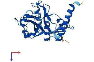 NUDT16L1 Protein (AA 1-211) (His tag)