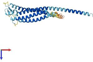 GPM6A Protein (AA 1-278) (His tag)
