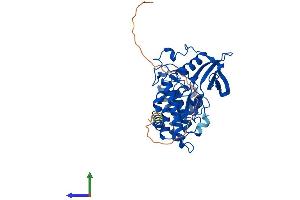 Protein Structure (PS) image for Casein Kinase 2 alpha 1 (CSNK2A1) (AA 1-391) protein (His tag) (ABIN7563874)