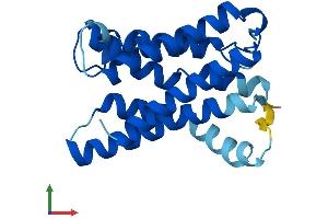 Protein Structure (PS) image for KDEL (Lys-Asp-Glu-Leu) Endoplasmic Reticulum Protein Retention Receptor 3 (kDELR3) (AA 1-214) protein (His tag) (ABIN7547394)