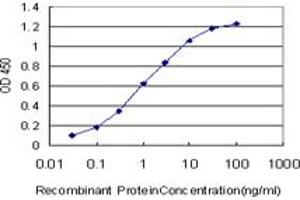 Detection limit for recombinant GST tagged KSR2 is approximately 0. (KSR2 Antikörper  (AA 411-500))