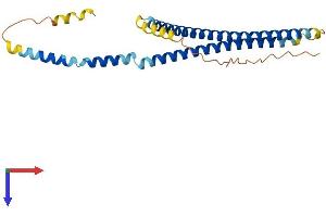 SYCE1L Protein (AA 1-247) (His tag)