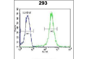 Flow cytometric analysis of 293 cells (right histogram) compared to a negative control cell (left histogram). (UBAC2 Antikörper  (N-Term))