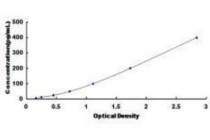 Myotrophin (MTPN) ELISA Kit