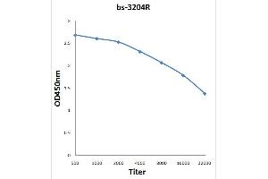 Antigen: 0. (IRS1 Antikörper  (pTyr896))